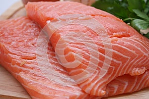 Salmon