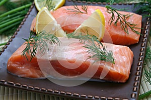 Salmon