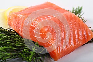 Salmon