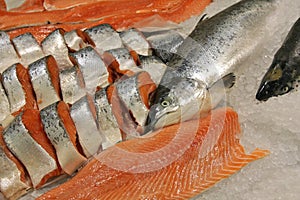 Salmon photo