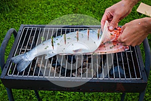 Salmon barbecue in preparation