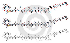 Salmon calcitonin peptide hormone drug molecule. Used in treatment of postmenopausal osteoporosis and other diseases