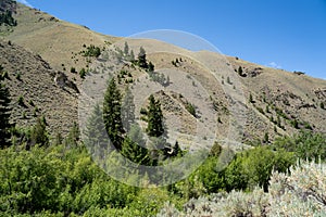 Salmon Challis Nationnal Forest, in Idaho, along the Goldbug Elk Bend Hot Springs trail