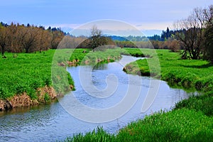 Salmon Creek Marshland