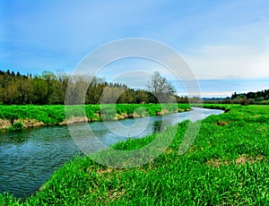 Salmon Creek Marshland