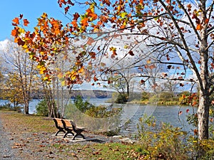 Salmon Creek at Myers Park under October fall foliage