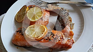 Salmon Dish , ready to eat