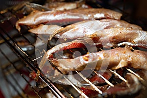 Salmon on a drying rack photo