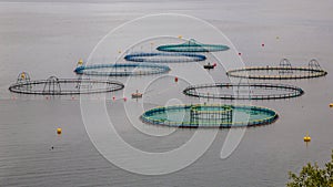 salmon farm in Norway