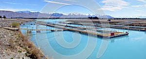 Salmon Farm Panorama on Lake Ruataniwha, New Zealand