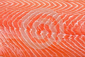 Salmon Filet