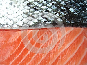 Salmon filet