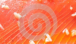 Salmon Fillet