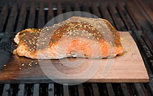 Salmon Fillet on Cedar Plank Smoke Cooking on BBQ