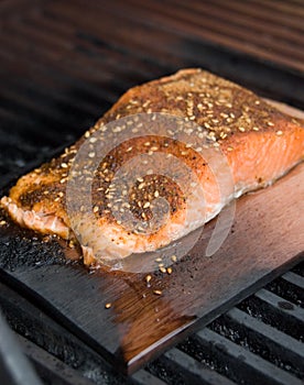 Salmon Fillet on Cedar Plank Smoke Cooking on BBQ