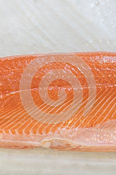 Salmon Fillet in Ice on the supermarket counter. Fillet of red fish in the ice in the supermarket. Marine healthy food. vertical p