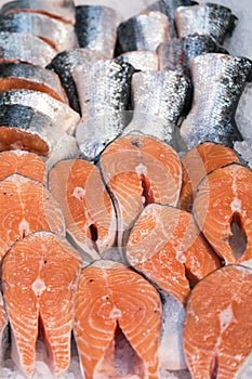 Salmon Fillet in Ice on the supermarket counter.