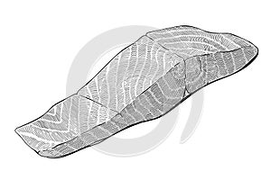 Salmon fillet illustration, north atlantic fish fillet, omega-3 source, healthy seafood, hand drawn art in engraving