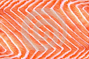 Salmon Fillet Texture or Pattern Closeup, Top View, Macro, Fresh Red Fish or Trout Background