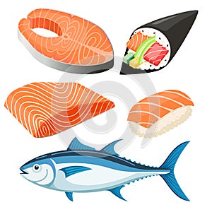 Salmon Fillet vector illustration set