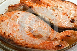 Salmon fish