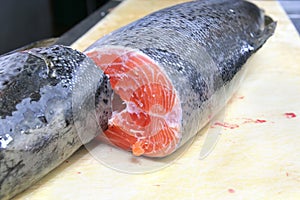 Salmon fish
