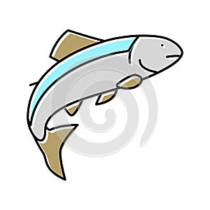 salmon fish color icon vector illustration