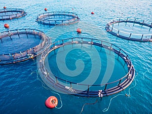 Salmon fish farm aquaculture blue water. Aerial top view photo