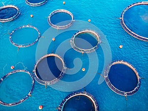 Salmon fish farm aquaculture blue water. Aerial top view