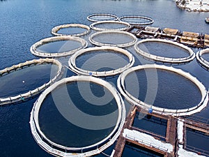Salmon fish farm aquaculture blue water. Aerial top view