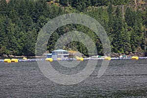 Salmon Fish Farm, British Columbia Coast