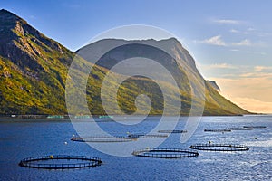 Salmon fish farm in Northern Norway