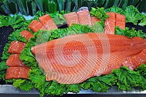 Salmon Fish Fillet