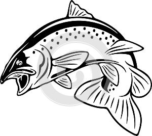 Salmon fish - Fishing logo. Template club emblem. Fishing theme vector illustration.