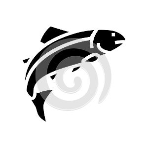 salmon fish glyph icon vector illustration