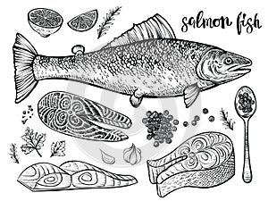 Salmon fish hand drawn vector sketch. Illustration of seafood. Fillet and steak, red caviar on spoon and fish side view.