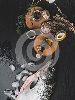 Salmon fish in ice cubes, Raw salmon fish whole with ingredients for cookings on black wooden table. Top view. Toned
