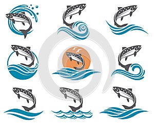 Salmon fish illustrations set