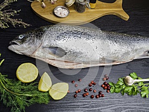 Salmon fish. Raw salmon fish whole with ingredients for cookings on black wooden table. Top view