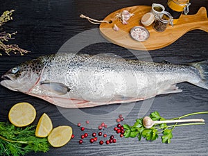 Salmon fish. Raw salmon fish whole with ingredients for cookings on black wooden table. Top view