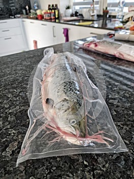 Salmon fish sealed in vacuum for food preparation