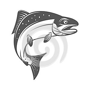 Salmon fish vector illustration in monochrome vintage style. Design elements for logo, label, emblem.