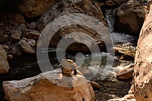 Salmon fisherman on the river Deva