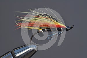 Salmon Fishing fly