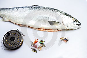 Salmon with flyfishing reel and flies