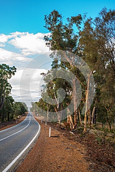 Salmon Gums on Toodyay Road