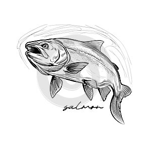 Salmon hand drawn black and white vector