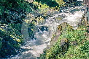 Salmon hatchery creek in mountains of alaska