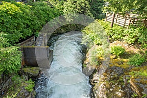 Salmon hatchery creek in mountains of alaska