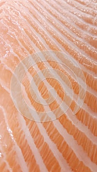 Salmon meat has a unique pattern.